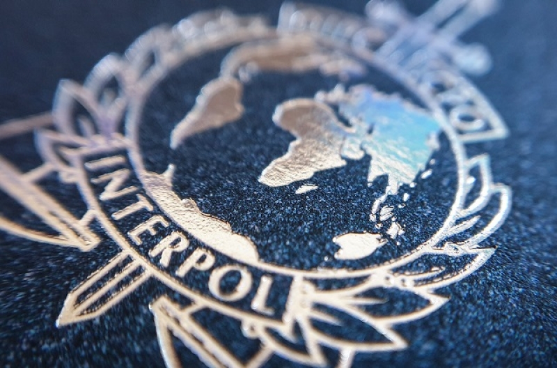 interpol-logo-7ef9d07b8f97d91a36d2b24c5ebe66dc1756866076.jpg