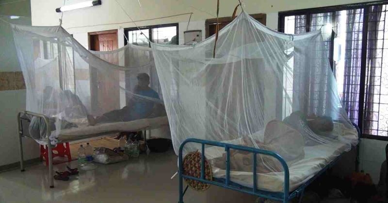 dengue-patients-9ef29c55dc3669c418c337c1815387ed1757780047.jpg