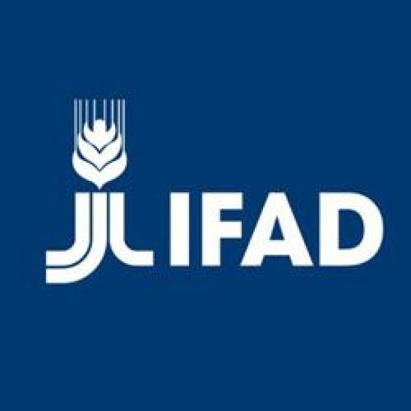 ifad-logo-b316a11560347c51b13527cb5f7167681760545307.jpg