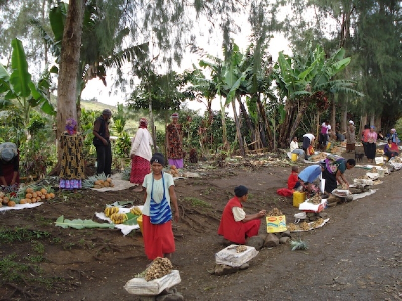 cewilson-image-2-women-rural-markets-hela-province-png-highlands-68959ac923c12839b8f03f1c53f2b45f1761392129.jpg