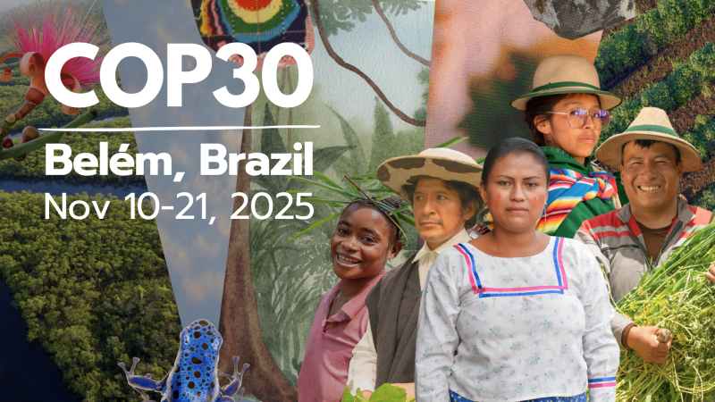 cop30-the-un-climate-change-conference-7c586937f50d21493ac8f9630c74269c1765301178.png