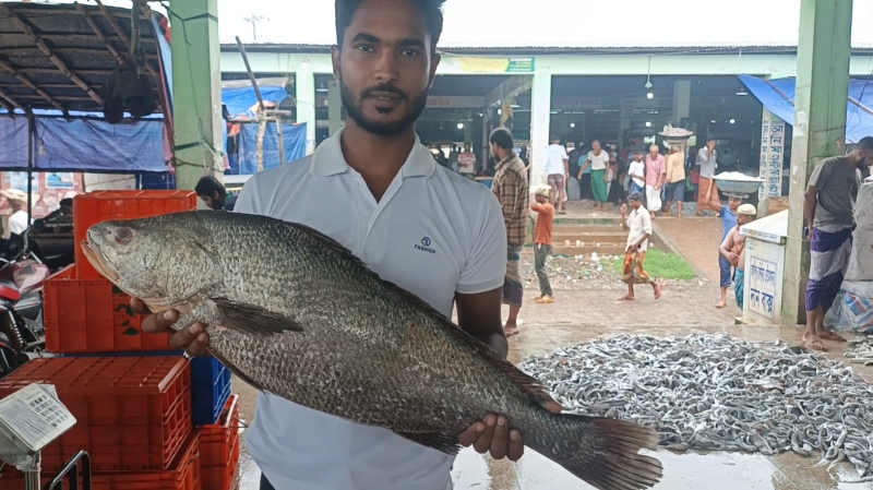 a-black-poa-fish-fetches-taka-50000-in-kuakata-on-sunday-5-july-2026-bf9e01feecbba4a44d30b9a162653b111783270254.jpg