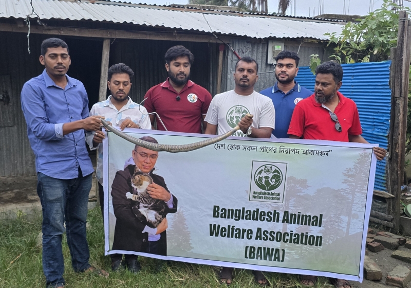 bangladesh-animal-lovers-association-members-staged-a-humain-chain-on-monday-ee27bf87463e860a77cb03f7af48dac71784658906.jpg
