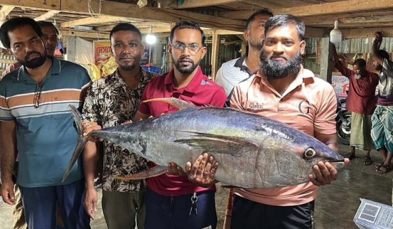 yellowfin-tuna-caught-in-the-bay-of-bengal-a087b3cc43d90a95d959afc842ade4f11785587520.jpg