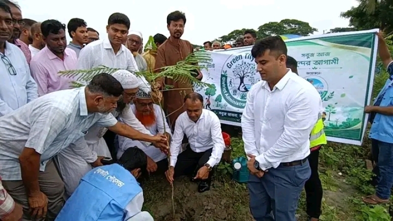 a-krishna-chura-sapling-is-being-planted-on-a-kuakata-road-on-thursday-13-aug-2026-fa59dcad2d7da3f23d48679756b48cc61786641659.jpg