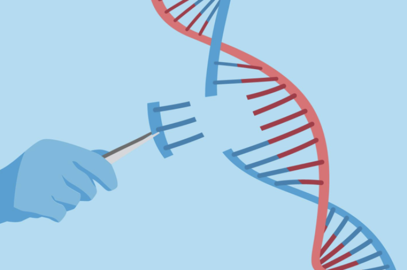 synthetic-biology-8daac328acd48b94debcace63b9dfdf41787399510.png