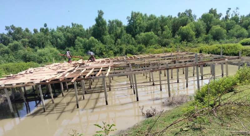 construction-work-going-on-neat-kuakata-mangrove-forest-without-any-hindrance-94b1a66b178425d12fc7f5973ed796e31789493364.jpg