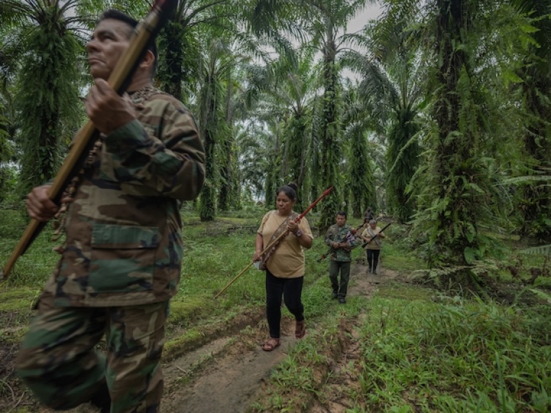 indigenous-kakataibo-patrol-in-the-yamino-community-forest-0afe9a13c82216cd6967d7530eeffecd1789579597.jpg