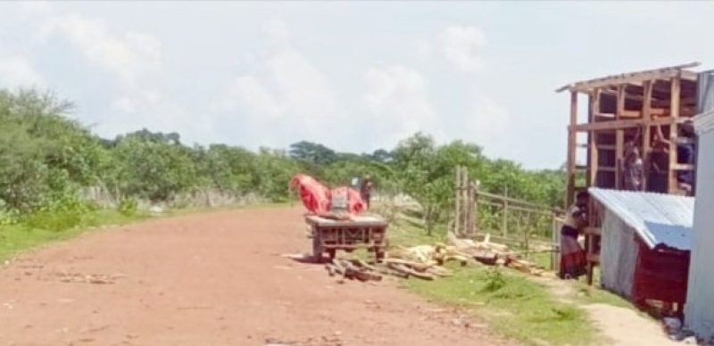 structures-are-being-build-on-sloped-of-kuakata-embankment-slopes-after-felling-trees-612a994f7206b422ea6c93e079b758e01789707975.jpg