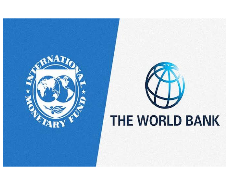 imf-and-world-bank-logos-a2105a0fd516781016193831b678b07e1791808811.png