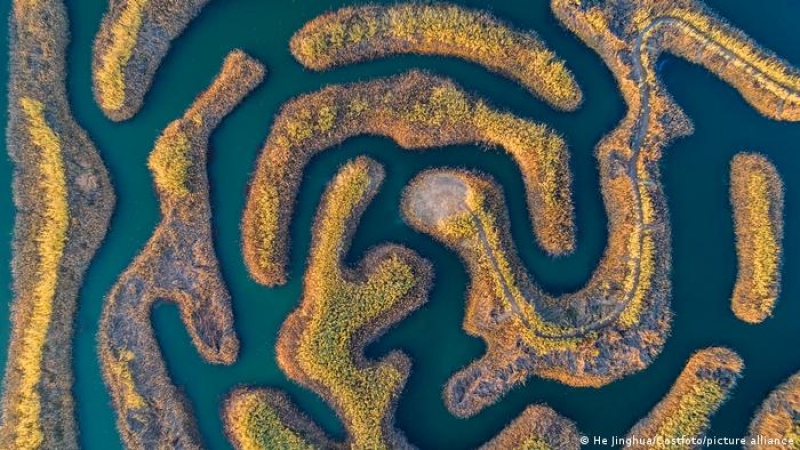 biodiversity-protection-and-habitat-protection-are-underway-in-chinas-baima-lake-national-wetland-park-92e8cd16b22288e66e7e8adddc09f0581792172341.jpg
