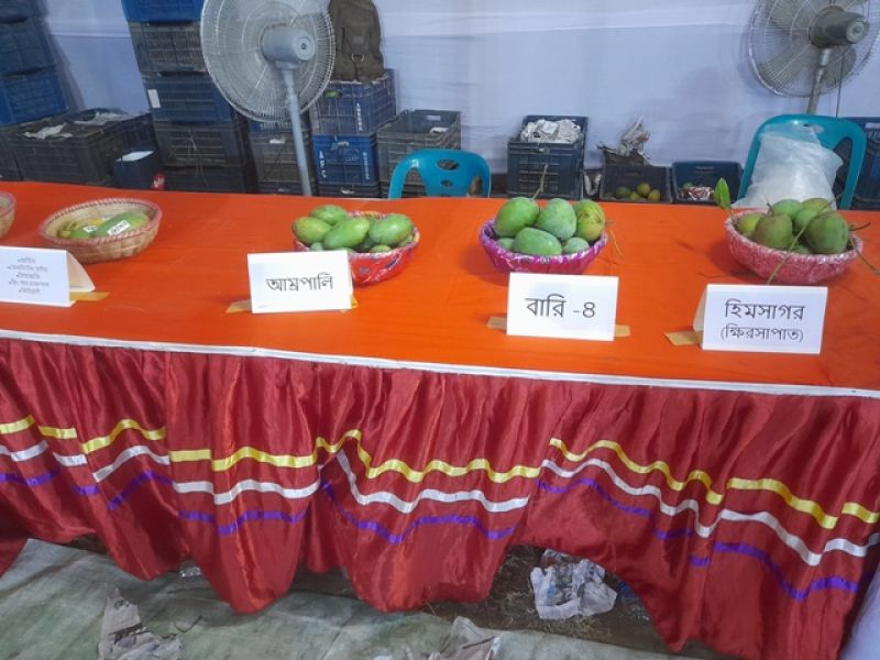 mango-fair-at-khamar-bari-054320a95792ffd2a719756f830e9d691656179257.jpg