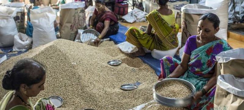 workers-sort-through-grain-at-a-market-in-mumbai-india-file-6667df351501e77d7dd2438920adb0e91675494469.jpg