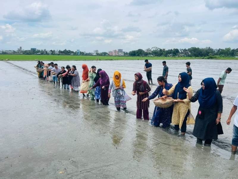 bau-students-spreading-late-aman-seeds-on-seed-beds-of-flood-affected-farmers-e6a5037367c0e004be950452cb5f3ece1725209206.jpg