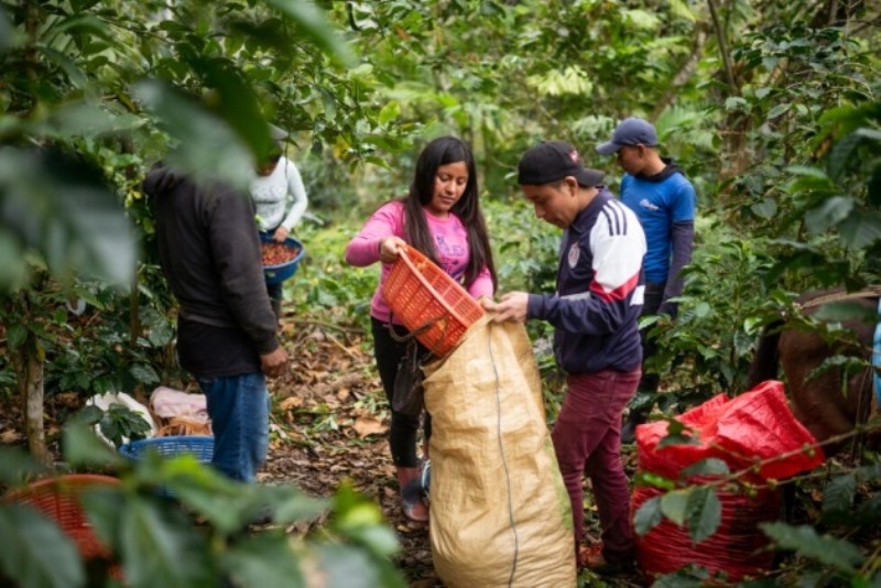 a-latin-american-rural-family-0260f758ba226459572da06b1fb221581725475894.jpg