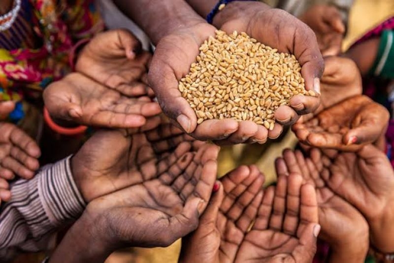 food-crisis-2aad96e2d3dea77aca76471186b326cf1739813369.jpeg