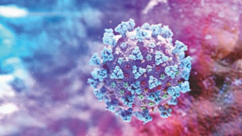coronavirus_20_0-0a73147f5c6f2fc77d0d17b88ac9a6da1750685244.jpg